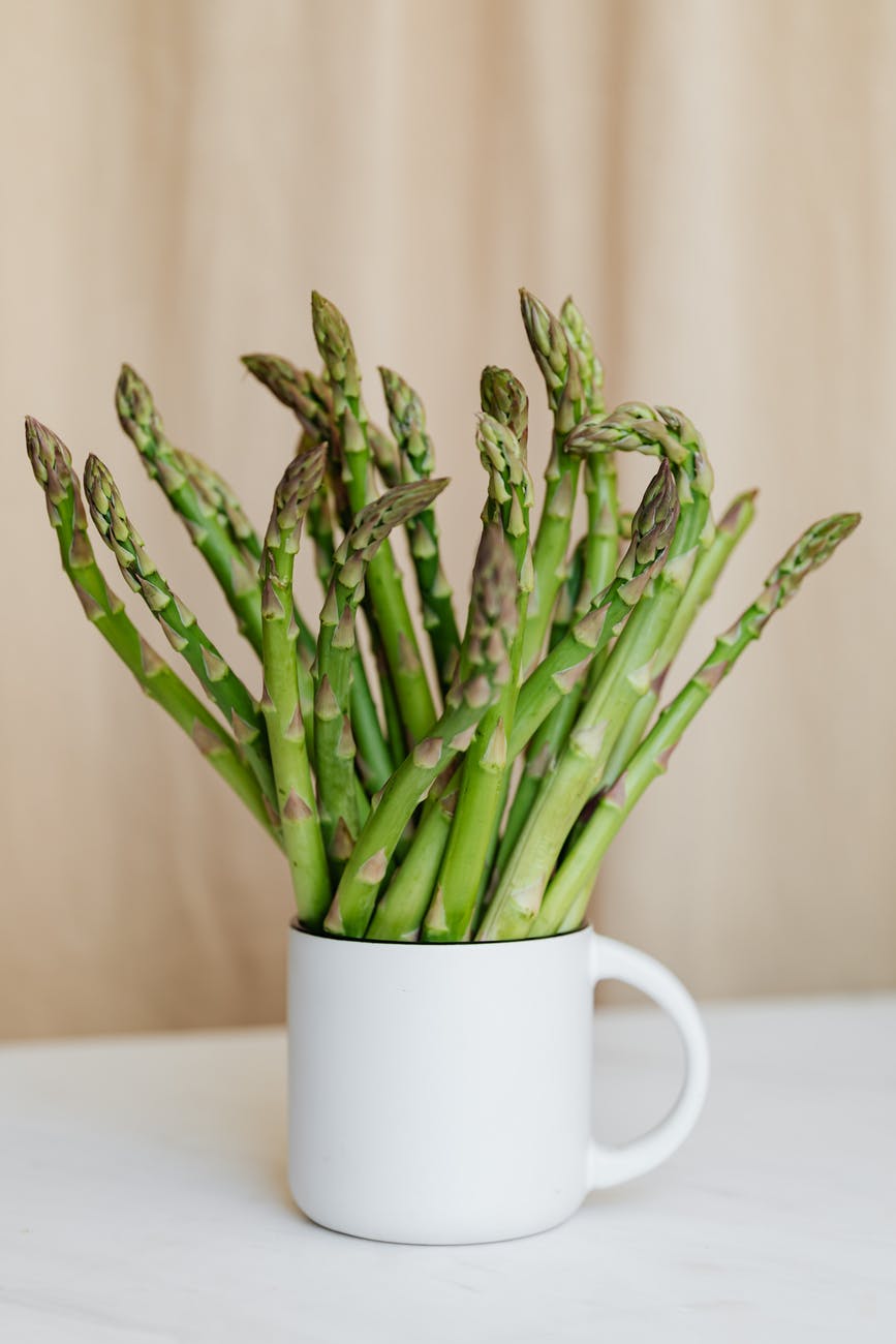 Bouquet of asparagus in a white mug on the table. 
